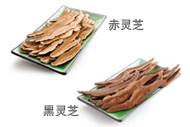 灵芝
