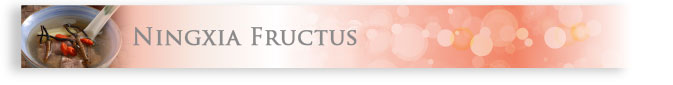 Ningxia Fructus