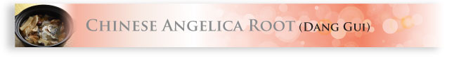 Chinese Angelica Root (Dang Gui)