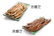 靈芝