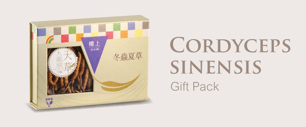 +Wild Cordyceps sinensis
